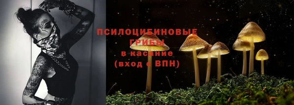 скорость Дмитриев