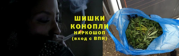ГАЛЛЮЦИНОГЕННЫЕ ГРИБЫ Гусь-Хрустальный