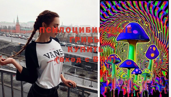 Альфа ПВП Дмитров
