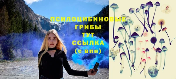 ГАЛЛЮЦИНОГЕННЫЕ ГРИБЫ Гусь-Хрустальный
