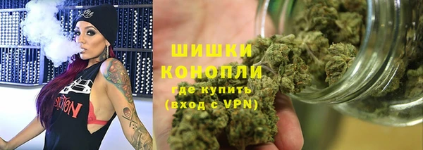 шишки Заводоуковск