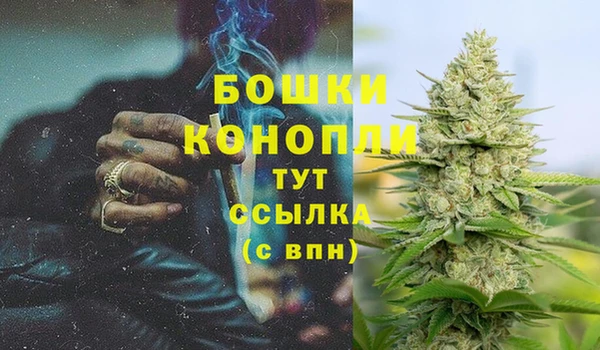 ALPHA-PVP Гусиноозёрск