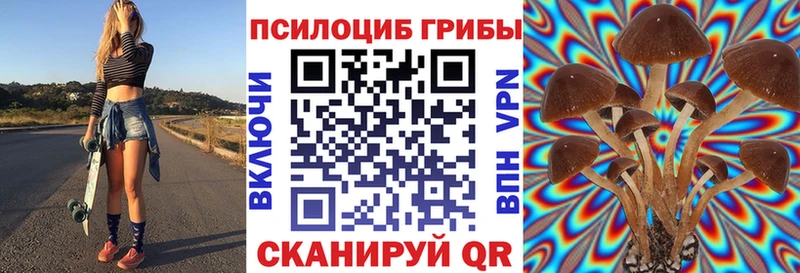 Купить  Славгород  Галлюциногенные грибы ЛСД 
